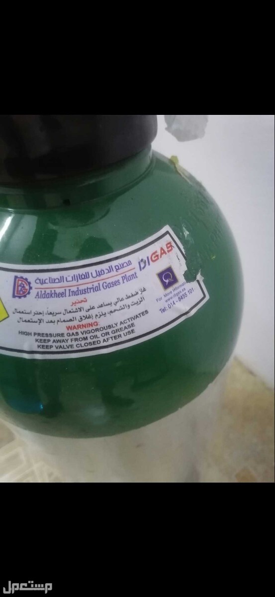 المدينة المنورة