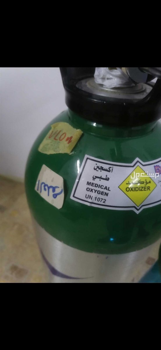 المدينة المنورة