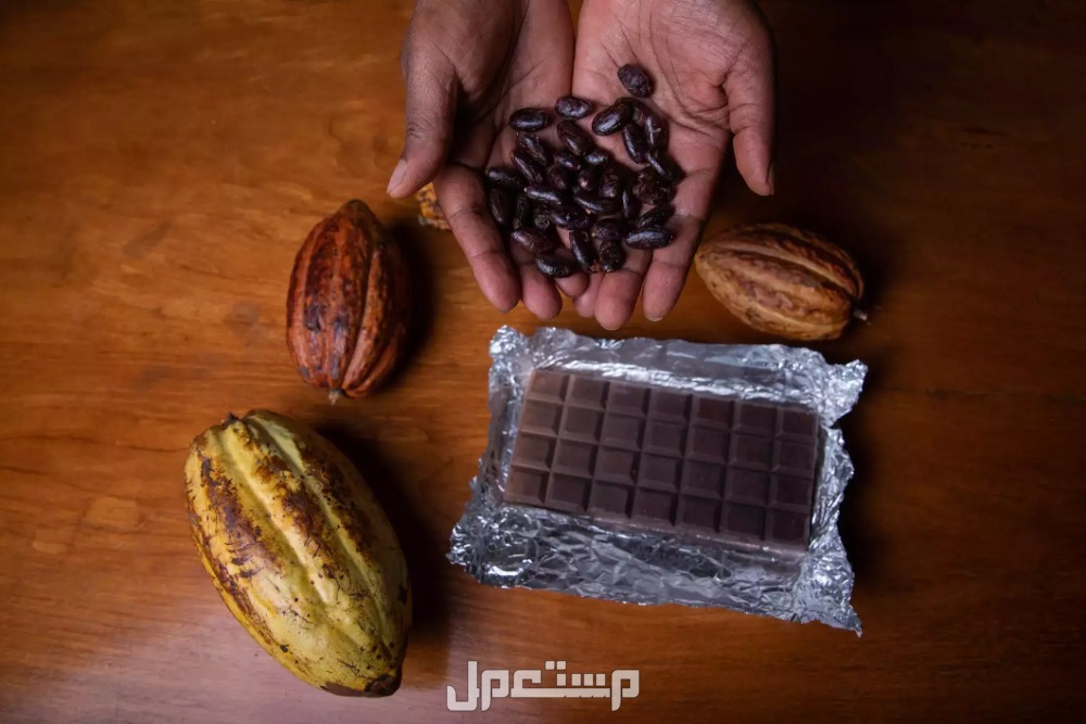 سعر كيلو الكاكاو الخام 2025 سعر كيلو الكاكاو الخام