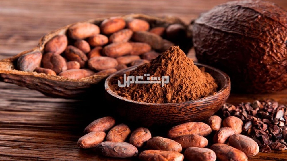 سعر كيلو الكاكاو الخام 2025 فوائد الكاكاو