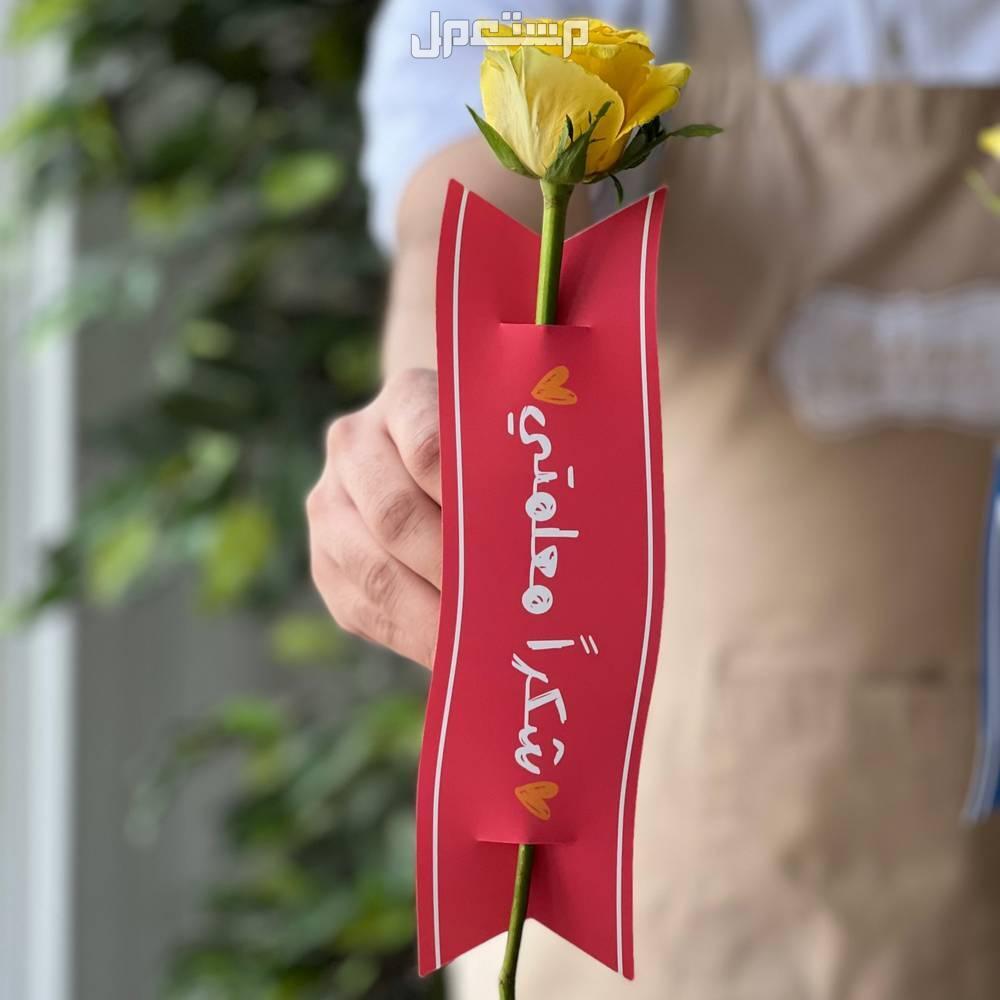 أجمل عبارات شكر للمعلمة قصيرة مكتوبة 2026 أجمل عبارات شكر وتقدير للمعلمة