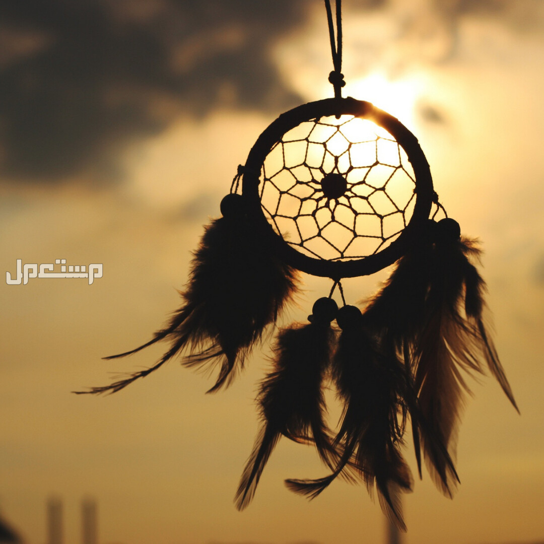 تفسير حلم الإعصار والنجاة منه للرجل والمرأة