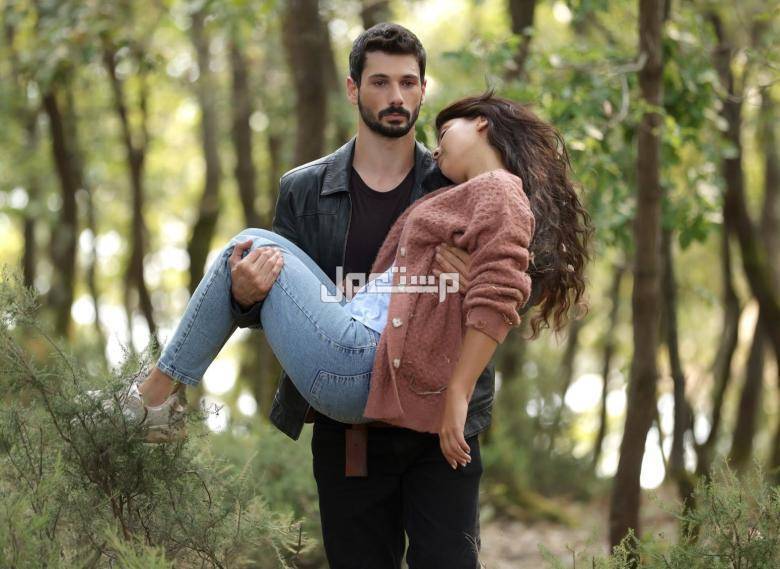 مشاهدة مسلسل حب بلا حدود الموسم الثاني وتردد القنوات الناقلة بطل مسلسل حب بلا حدود يحمل البطلة