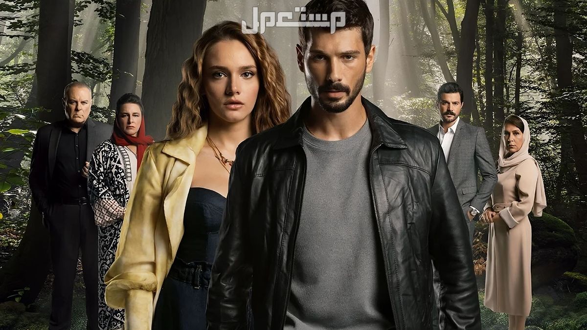 مشاهدة مسلسل حب بلا حدود الموسم الثاني وتردد القنوات الناقلة بوستر مسلسل حب بلا حدود