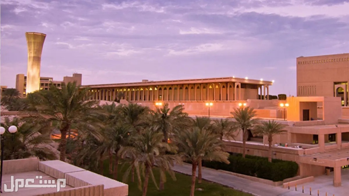 ترتيب أفضل 10 جامعات عربية لعام 2024.. السعودية لها النصيب الأكبر ترتيب أفضل جامعات عربية لعام 2024
