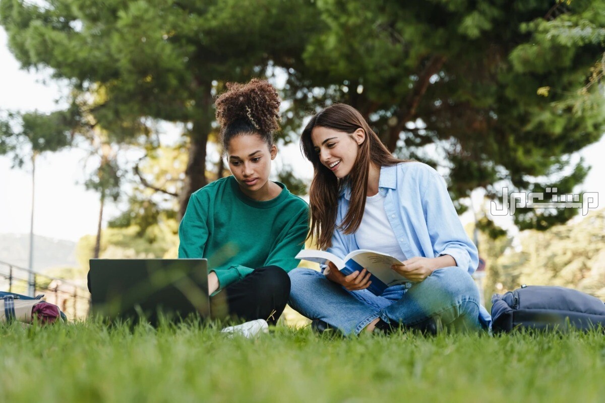 ترتيب أفضل 10 جامعات عربية لعام 2024.. السعودية لها النصيب الأكبر ترتيب أفضل 10 جامعات عربية لعام 2024