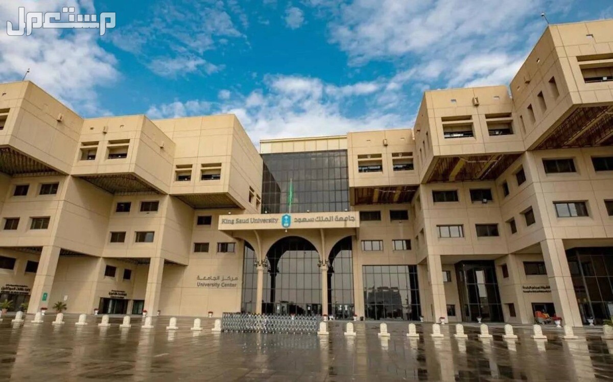 ترتيب أفضل 10 جامعات عربية لعام 2024.. السعودية لها النصيب الأكبر أفضل جامعات عربية لعام 2024