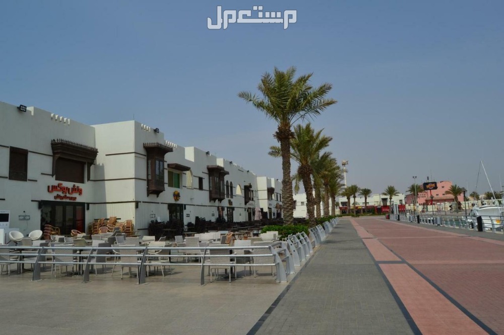 أفضل 5 أماكن صيد السمك في جدة منطقة ذهبان