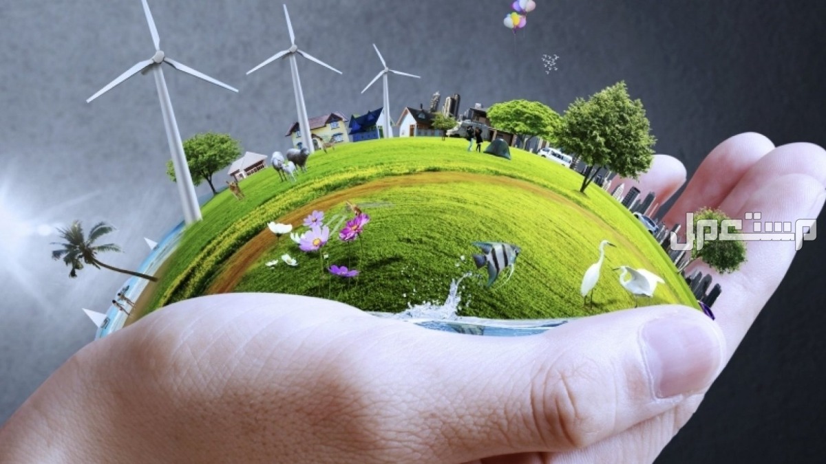 عبارات عن يوم البيئة العربي 2024.. وأفضل إذاعة مدرسية عن البيئة يوم البيئة العربي 2024 - 1446