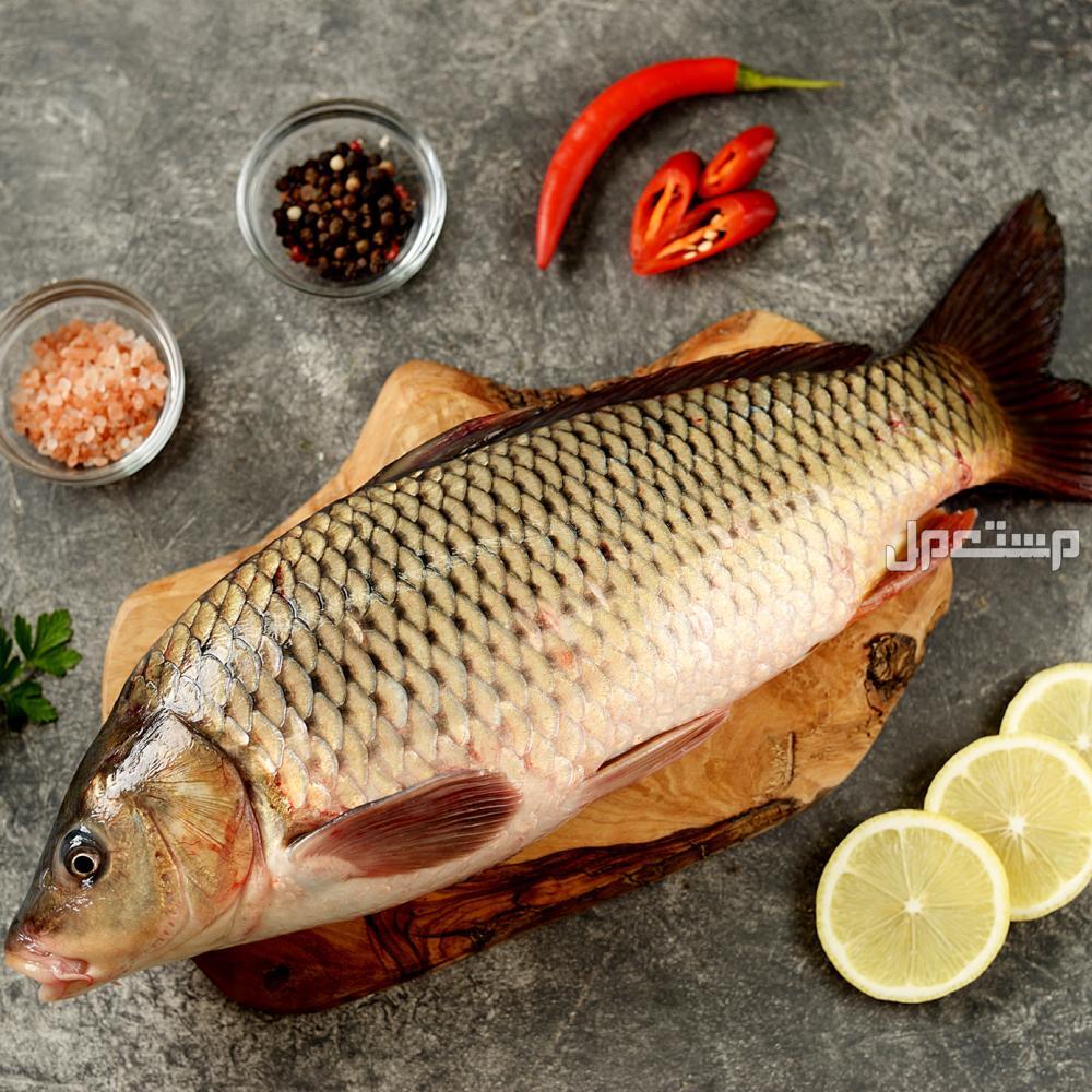 أشهر أنواع السمك بالصور والأسماء للتعرف عليها سمك المبروك