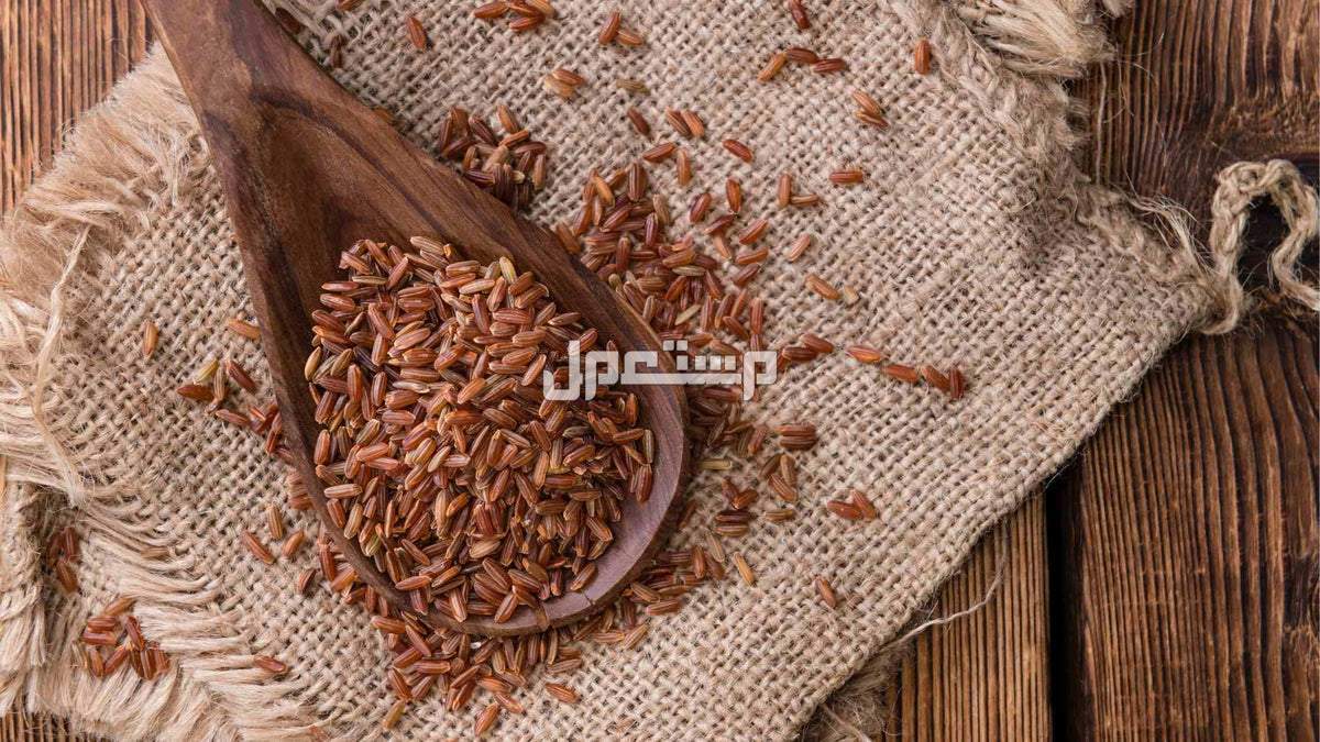 تجربتي مع ماسك بذور الكتان للوجه فوائد ماسك بذور الكتان