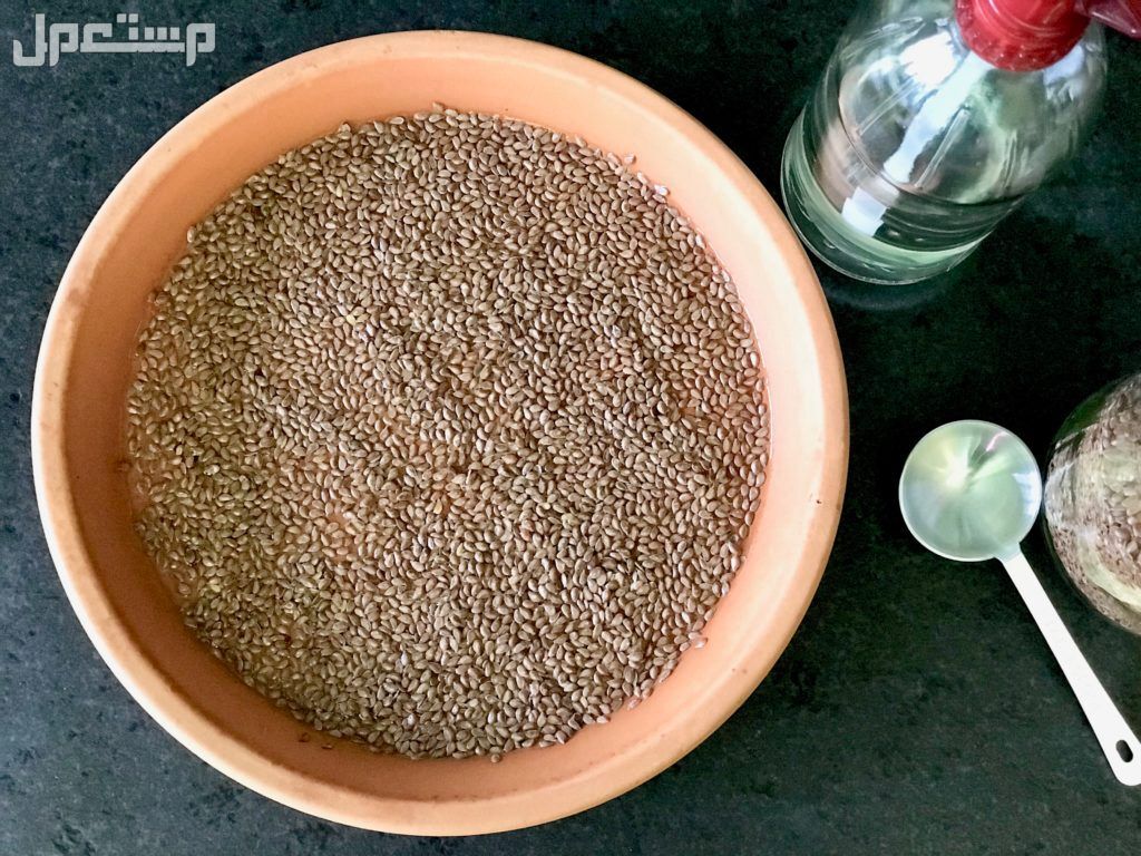 تجربتي مع ماسك بذور الكتان للوجه الفوائد الرئيسية لبذور الكتان للبشرة