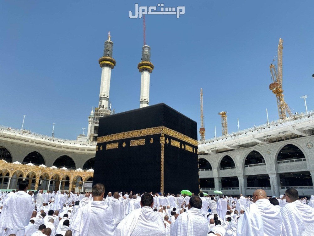 تفسير رؤية الحج لشخص آخر في المنام لابن سيرين تفسير رؤية الحج لشخص آخر في المنام لابن سيرين