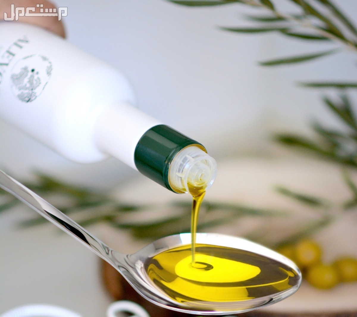 الفرق بين زيت الزيتون البكر والعادي.. مواصفات وأسعار هل زيت الزيتون البكر يصلح للطبخ