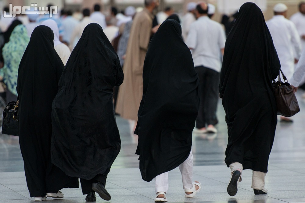 مميزات الاقامة المميزة​ 1446 وشروط الحصول عليها