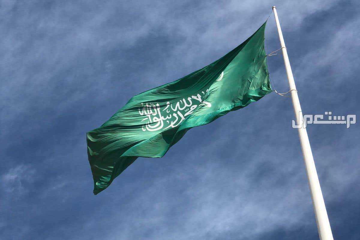 مميزات الاقامة المميزة​ 1446 وشروط الحصول عليها