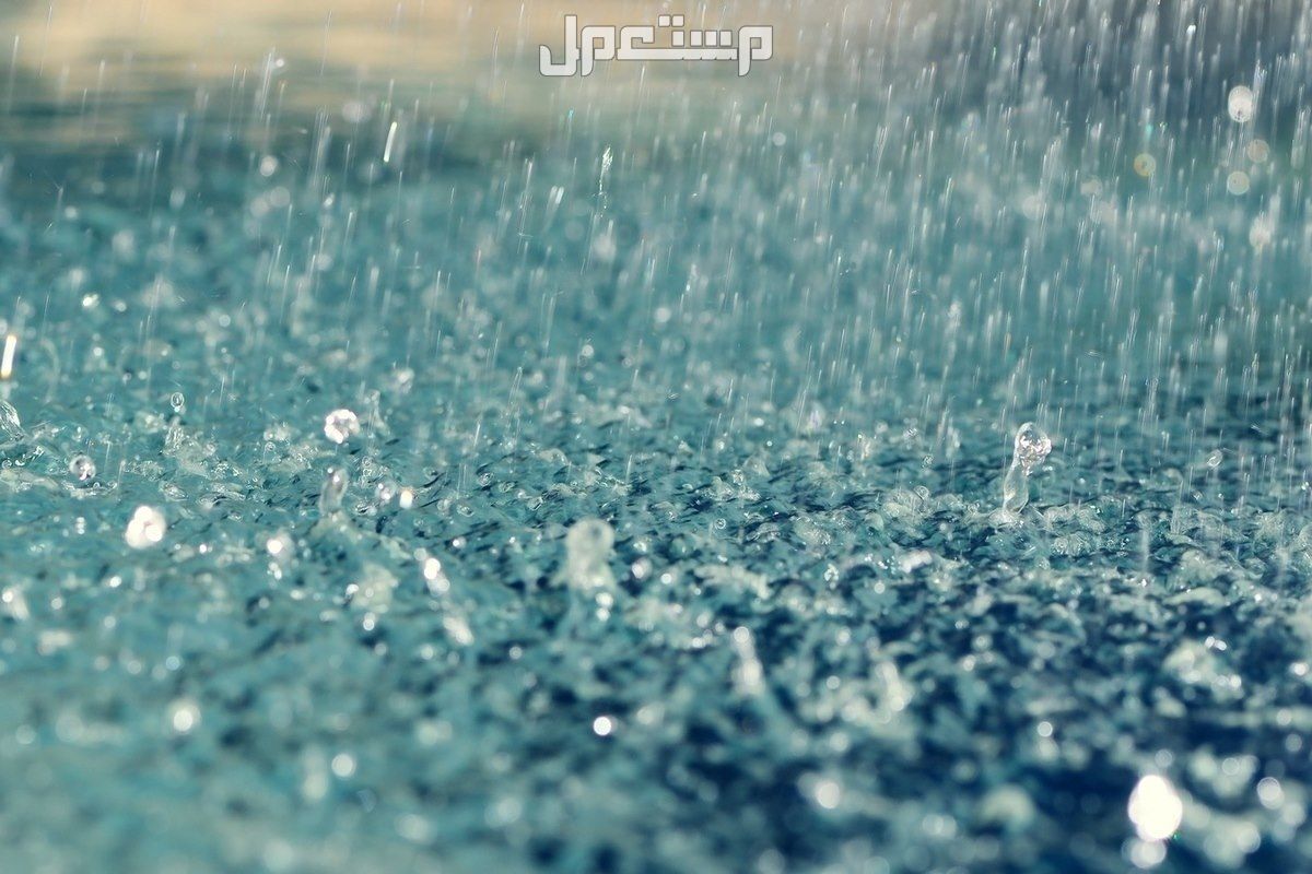 تفسير حلم نزول المطر بغزارة في المنام.. هل مرتبط بالحظ السعيد؟ تفسير حلم نزول المطر بغزارة في المنام