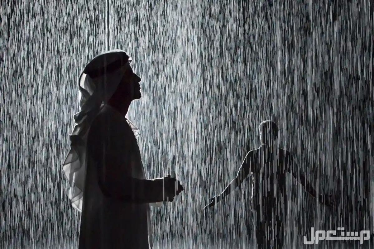 تفسير حلم نزول المطر بغزارة في المنام.. هل مرتبط بالحظ السعيد؟ تفسير حلم نزول المطر بغزارة