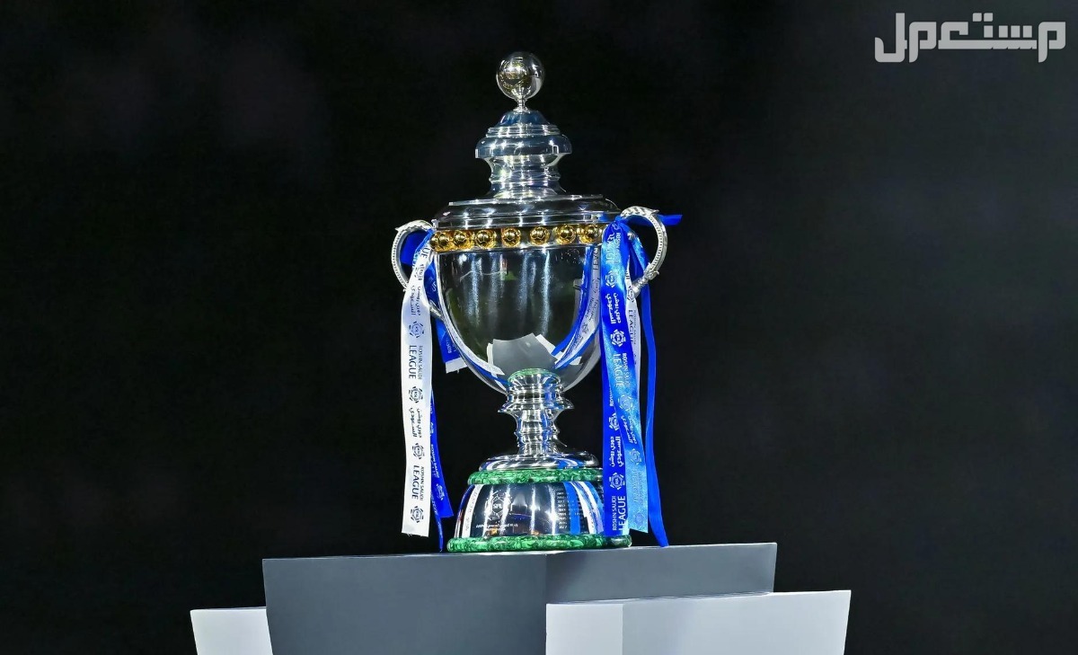جدول ترتيب هدافي الدوري السعودي روشن 2024 كأس الدوري السعودي روشن