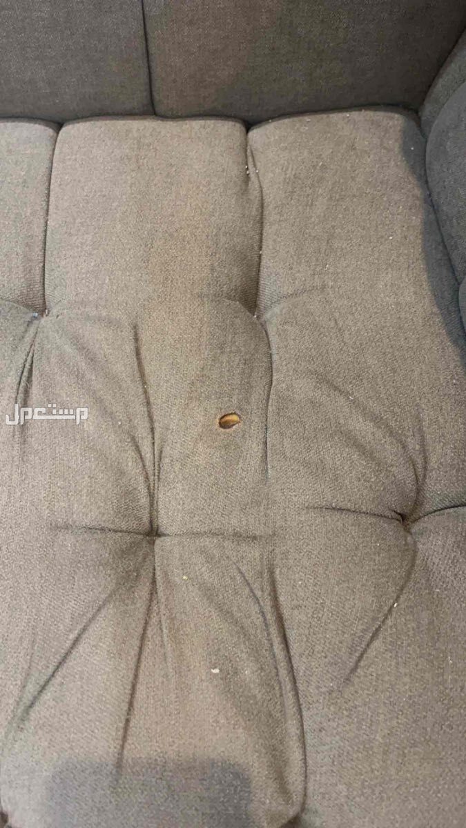 كنب