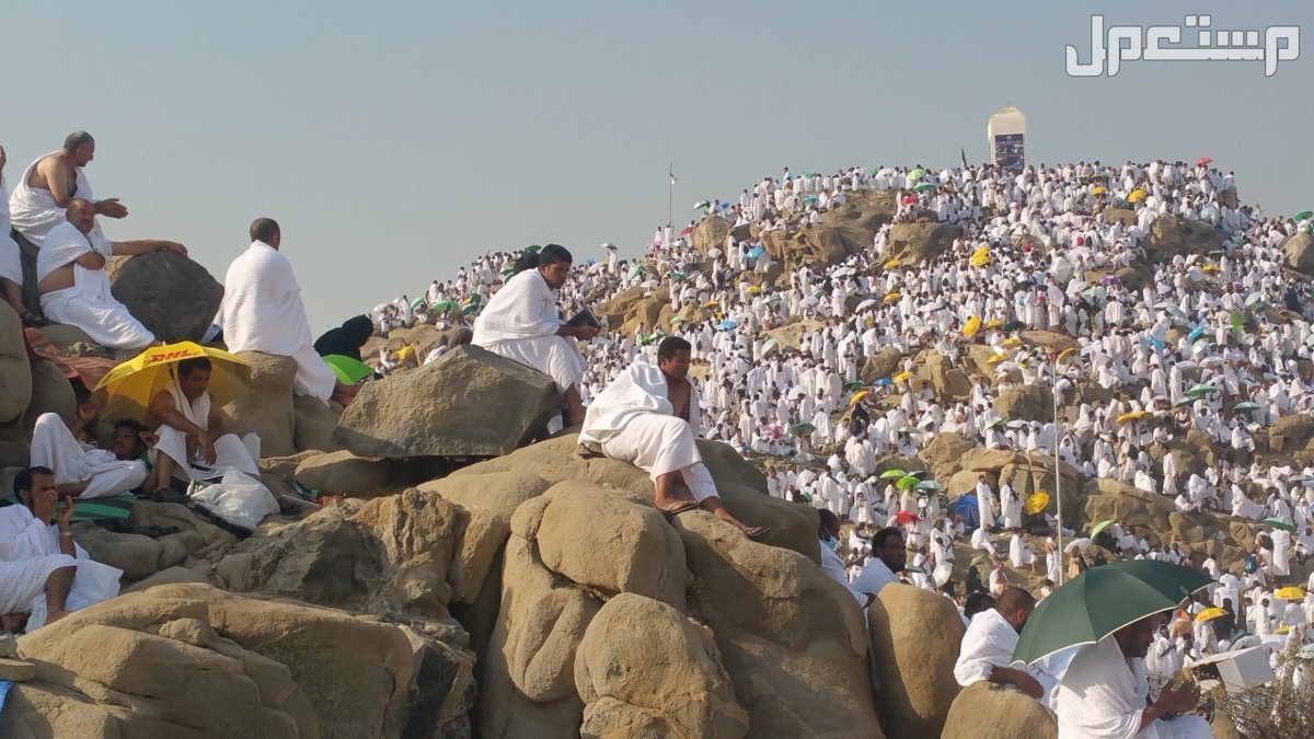 الإجراءات والشروط المطلوبة للتقديم في قرعة الحج 1446 - 2025 التقديم في موسم الحج 2025 بالإمارات