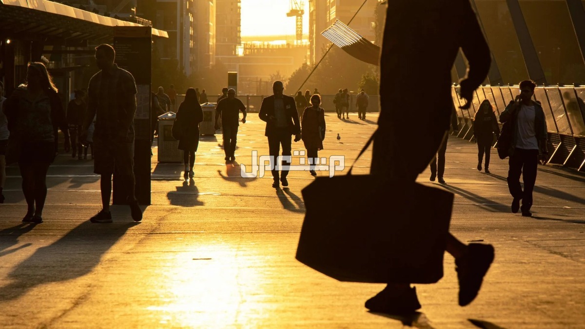 أبرز اتجاهات السفر لعام 2025 والأماكن الأكثر رواجًا سلوكيات السفر السعودية الرائجة
