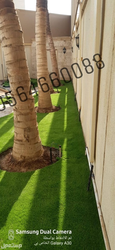 عشب صناعى جازان ثيل صناعى جازان للبيع