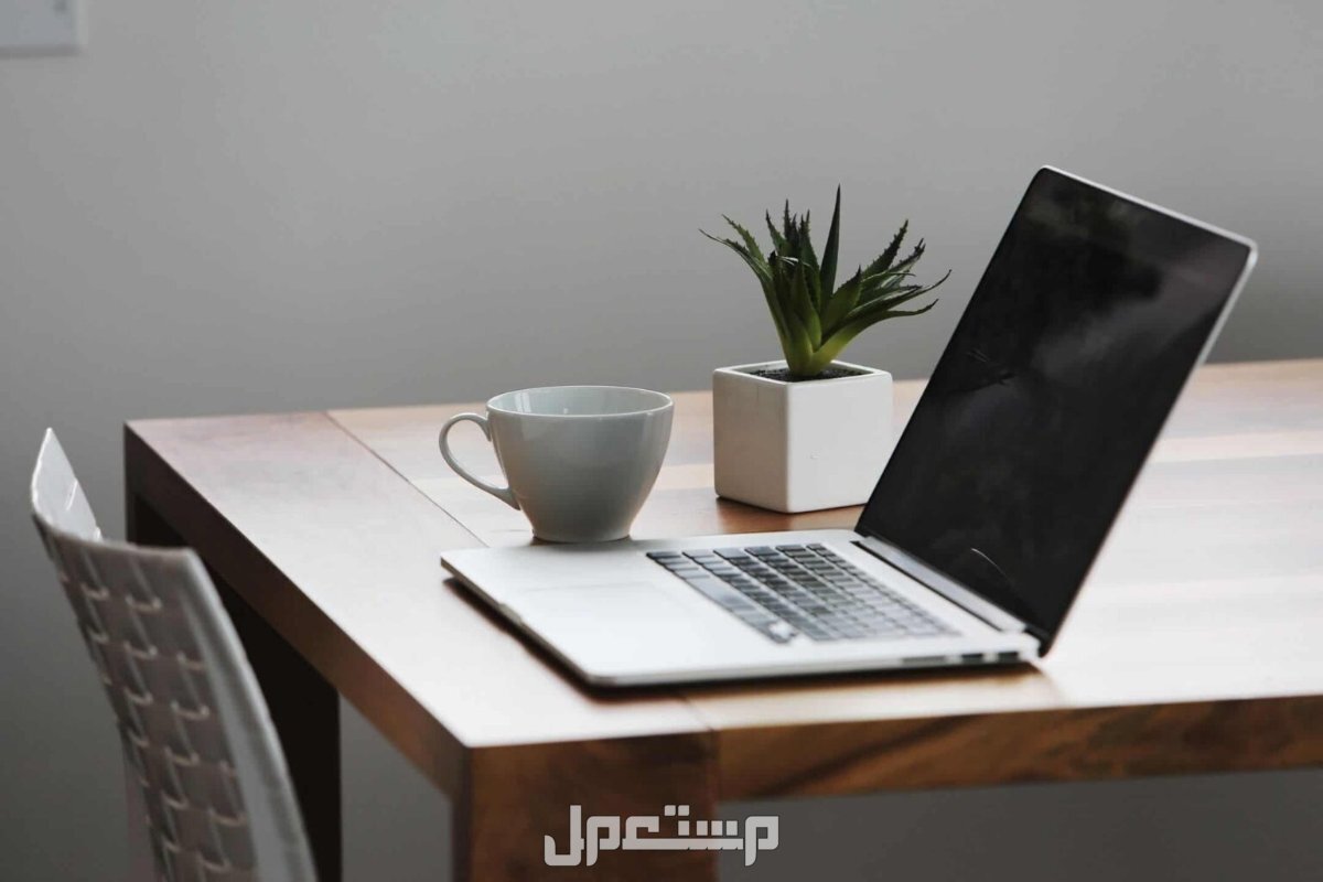 كيف تحصل على منحة دراسية مجانية.. الشروط والخطوات بالتفصيل التقديم على منحة دراسية مجانية