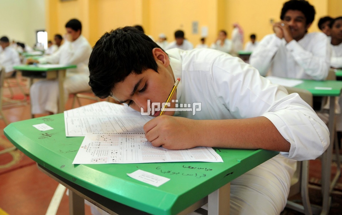 حقيقة تعليق الدراسة