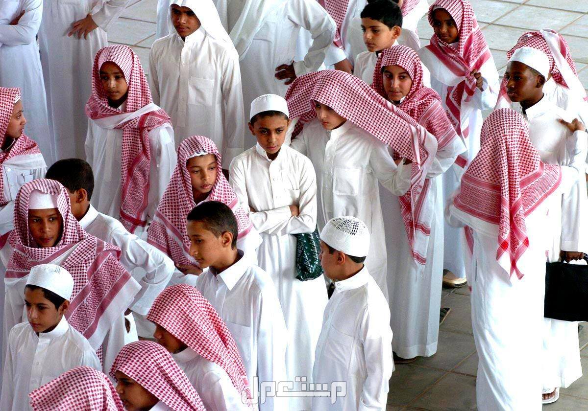حقيقة تعليق الدراسة