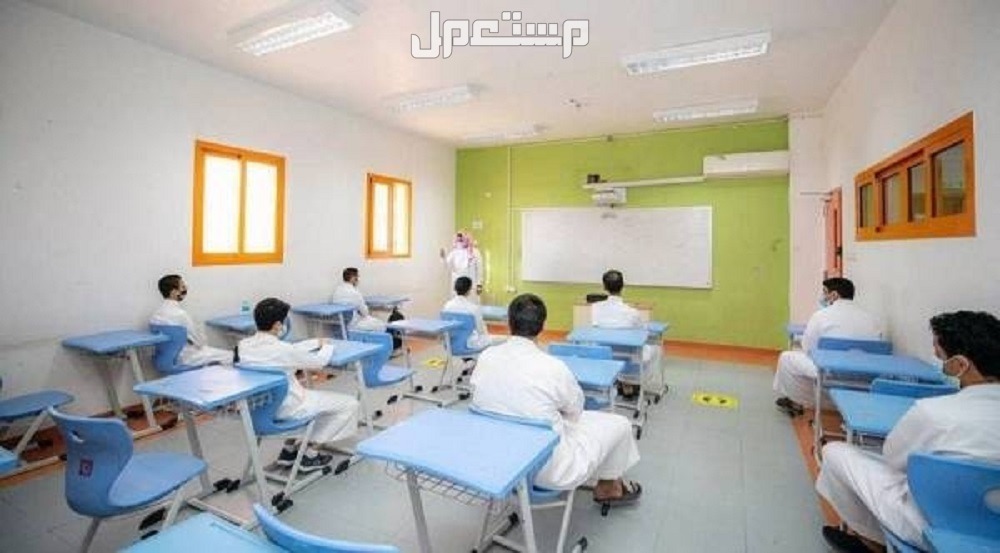 حقيقة تعليق الدراسة