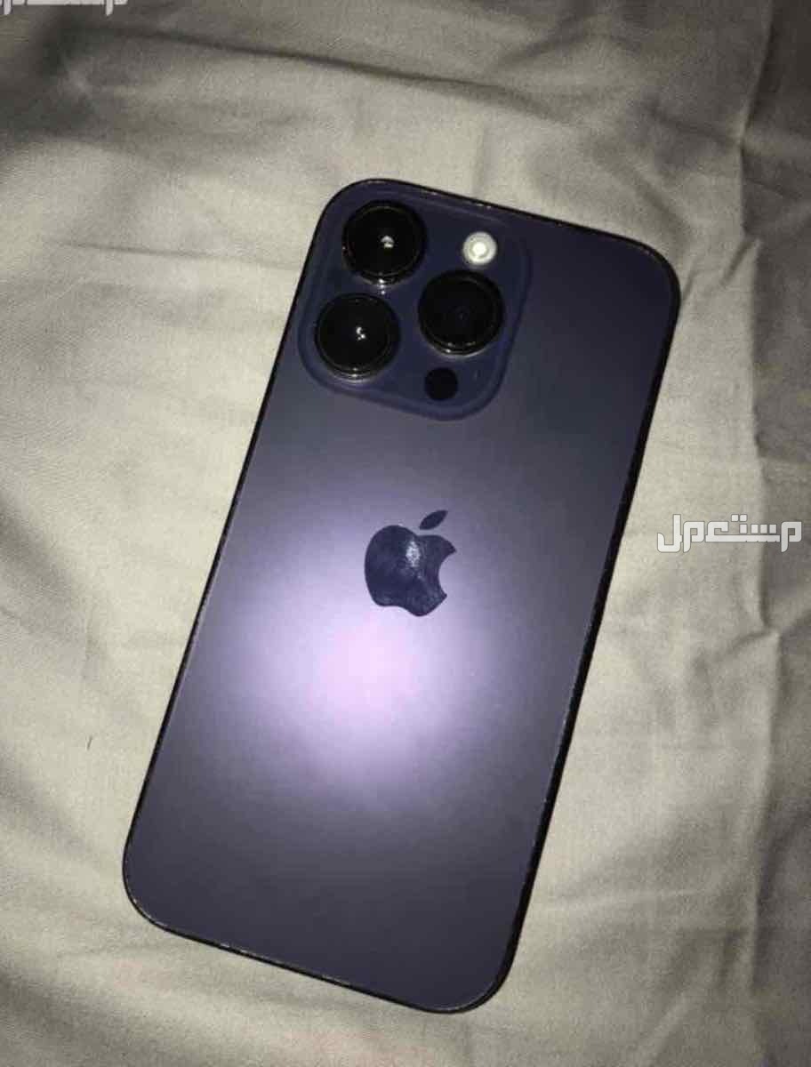 تبوك شكل لونه