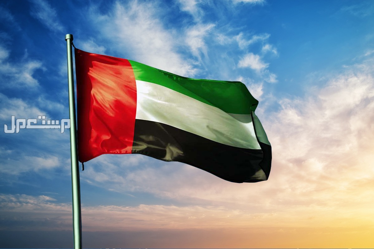 موعد يوم العلم الإماراتي 2024 وهل هو إجازة رسمية؟ الاحتفال بيوم العلم الإماراتي 2024