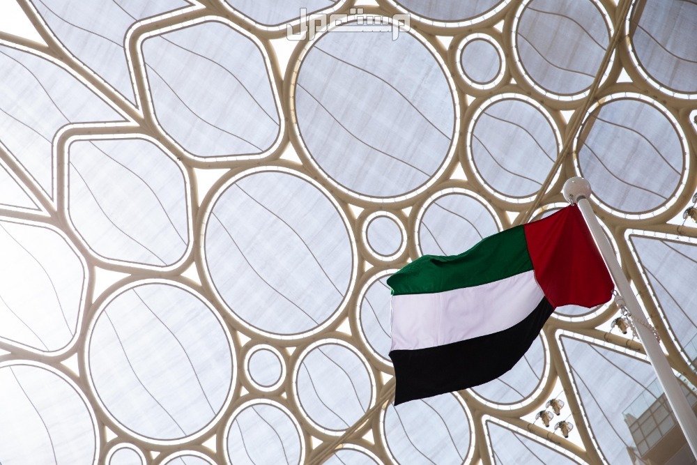 أجمل صور وخلفيات وعبارات تهنئة عن يوم العلم الإماراتي 2024