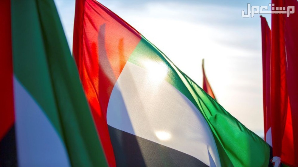 أجمل صور وخلفيات وعبارات تهنئة عن يوم العلم الإماراتي 2024