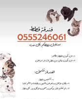 فندقة وقت سفرك 6061 24 0555 قطط وطيور - شاهد التقييم - الرياض