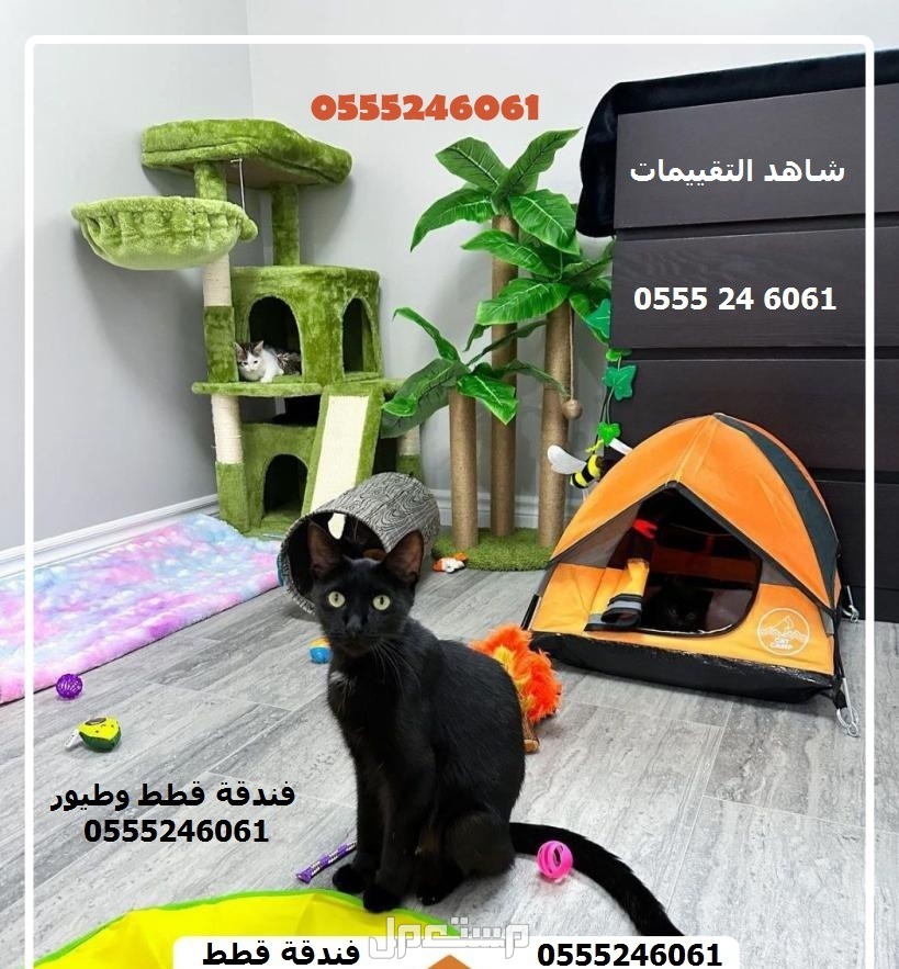 فندقة وقت سفرك 6061 24 0555 قطط وطيور - شاهد التقييم - الرياض