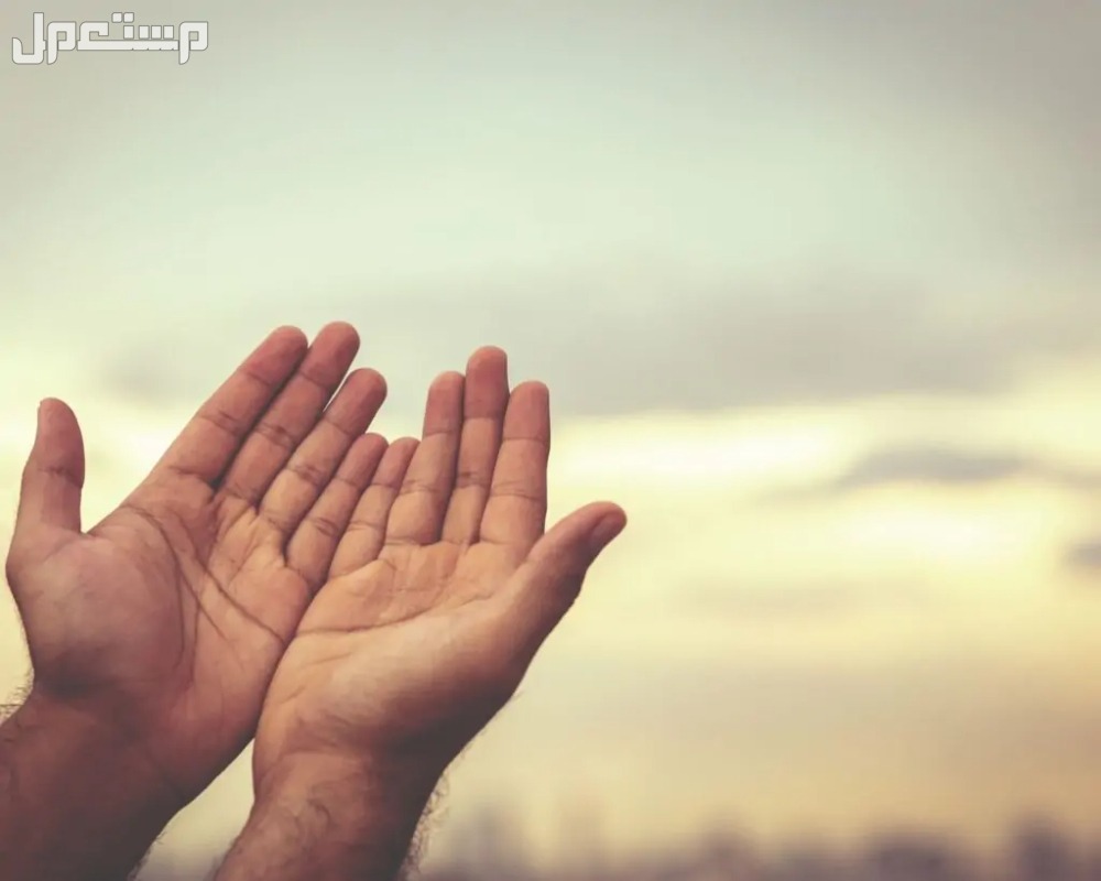 أفضل دعاء في الصباح مكتوب.. للرزق والفرج دعاء الصباح للأصدقاء مكتوب