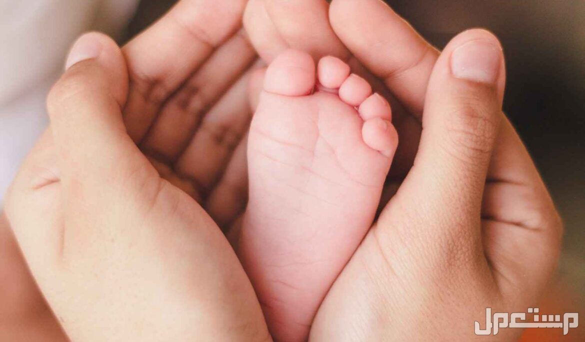عبارات استقبال مولود جديد صبي وانثى 2025