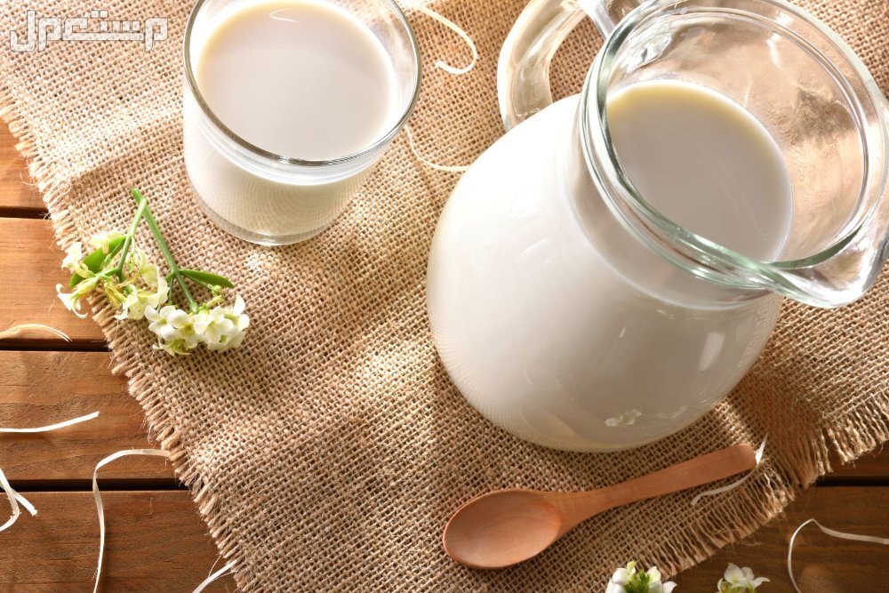 فوائد وأضرار شرب حليب الإبل وأفضل وقت تناوله فوائد وأضرار شرب حليب الإبل وأفضل وقت تناوله