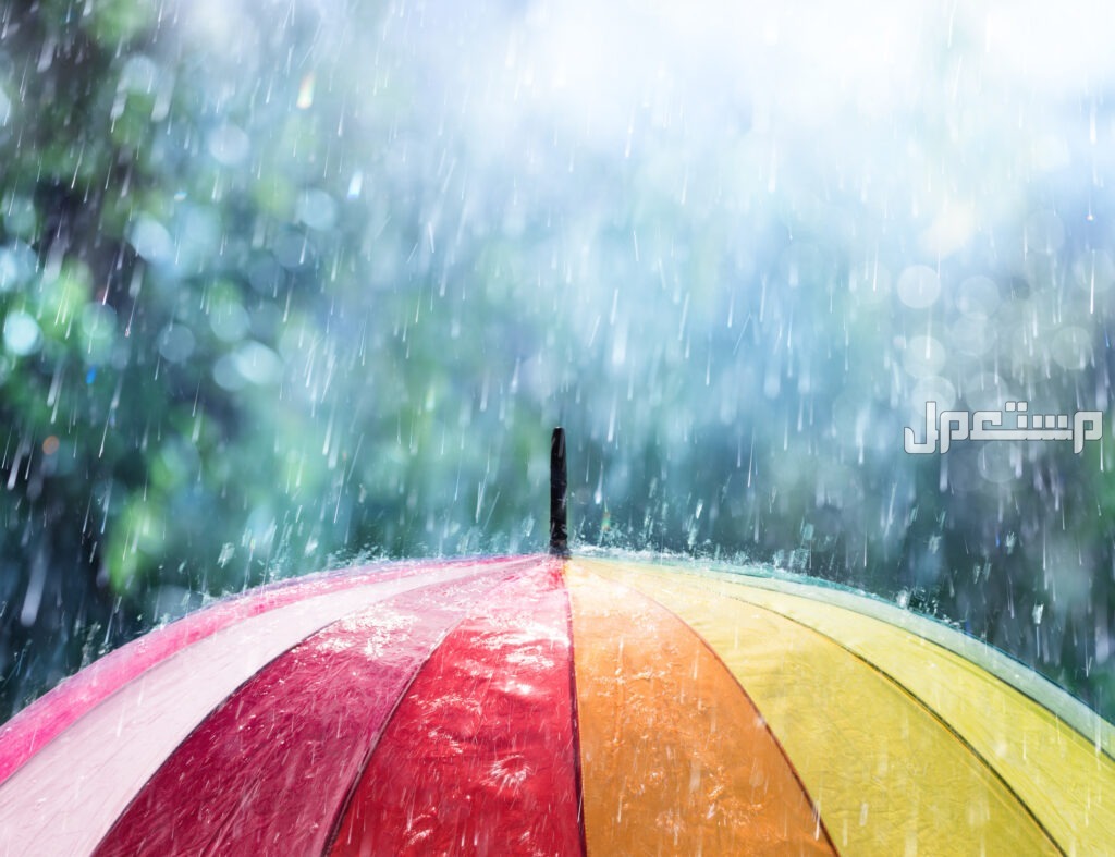 أفضل رادار الأمطار​.. 5 أجهزة الأكثر دقة في توقع الطقس كيفية توقع سقوط أمطار