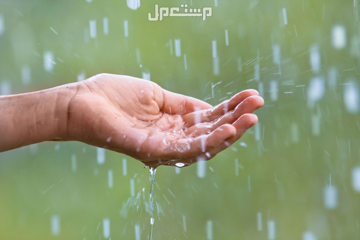 أفضل رادار الأمطار​.. 5 أجهزة الأكثر دقة في توقع الطقس ما هو أفضل رادار الأمطار 2025؟