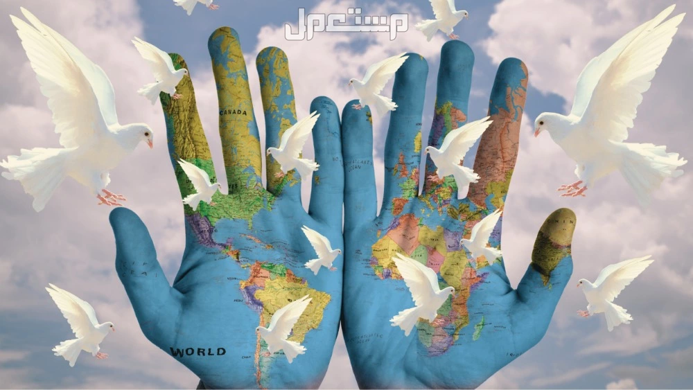 كلمات وعبارات اليوم العالمي للتسامح 2024 كلمات وعبارات اليوم العالمي للتسامح 2024