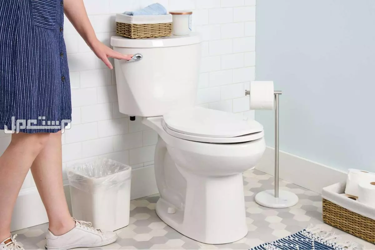 ما هي أفضل أنواع المراحيض 2026 ومزاياها وأسعارها بالصور؟ أفضل أنواع المراحيض 2026