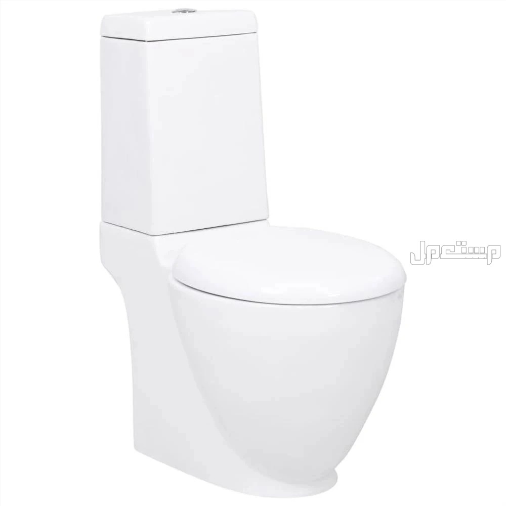 ما هي أفضل أنواع المراحيض 2026 ومزاياها وأسعارها بالصور؟ مرحاض مزدوج التدفق