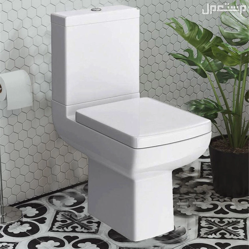 ما هي أفضل أنواع المراحيض 2026 ومزاياها وأسعارها بالصور؟ مرحاض قطعتين