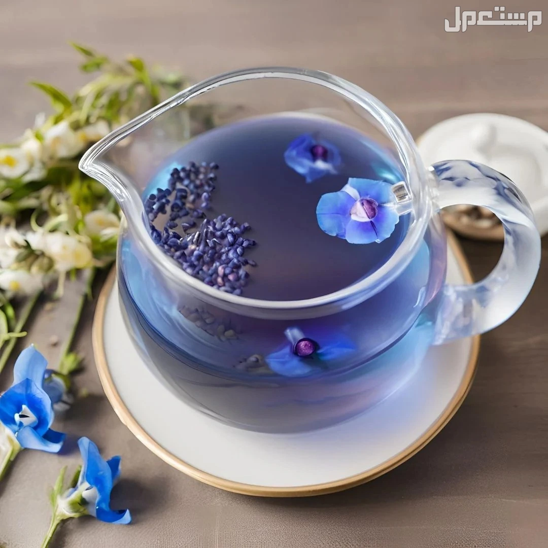 ما هو الشاي الأزرق؟ وهذه أهم فوائده وأضراره وطريقة تحضيره في 5 دقائق فوائد وأضرار الشاي الأزرق