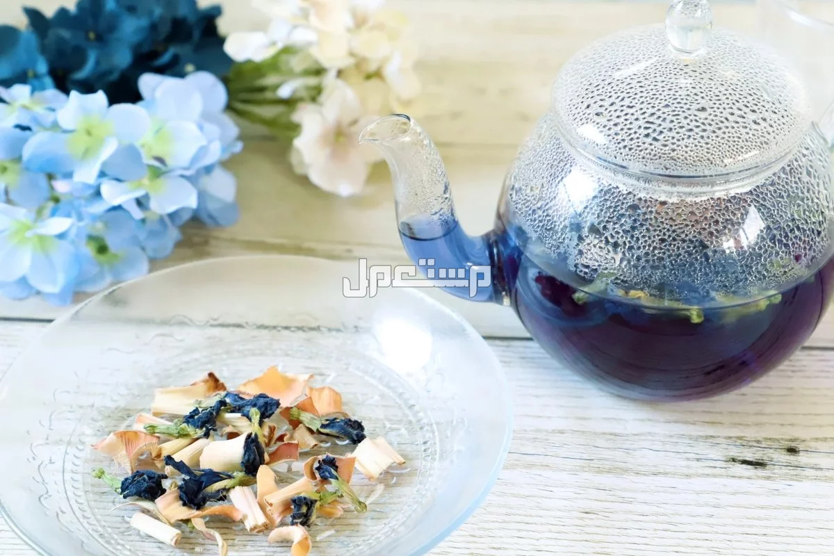 ما هو الشاي الأزرق؟ وهذه أهم فوائده وأضراره وطريقة تحضيره في 5 دقائق الشاي الأزرق