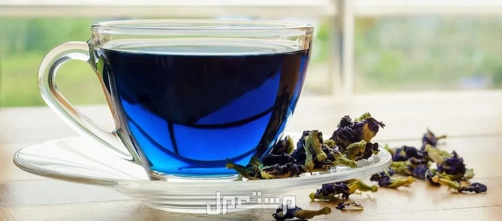 ما هو الشاي الأزرق؟ وهذه أهم فوائده وأضراره وطريقة تحضيره في 5 دقائق أهمية الشاي الأزرق