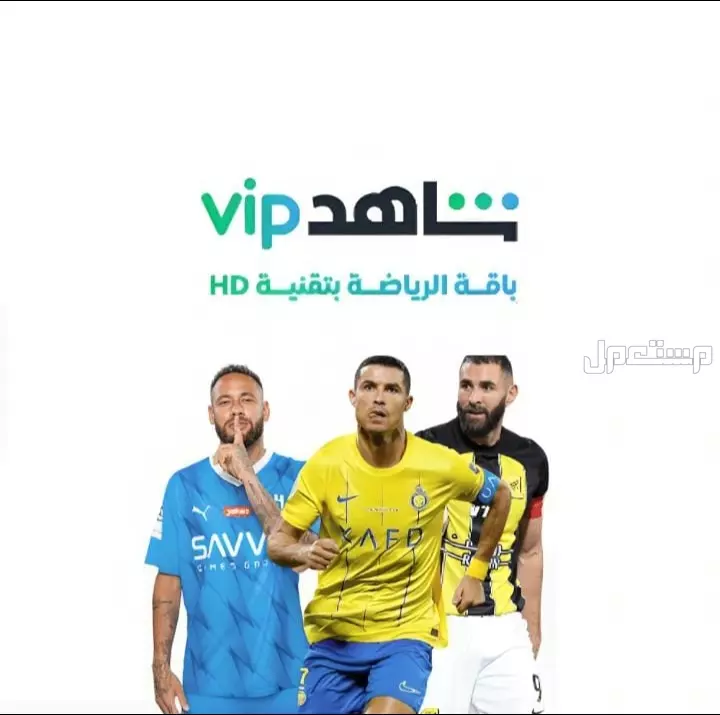 نتفلكس  شاهد VIP  اوسن. يوتيوب بريميوم.  امازون برايم اشتراك شاهد VIP+الباقه الرياضيه 
20 ريال 
ملف خاص فيك